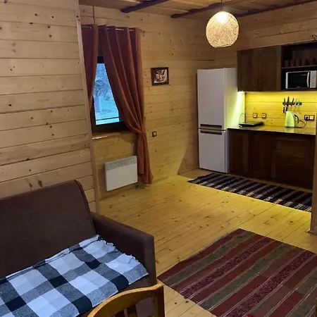 Гостевой дом Pid Dubom карпати під дубом 4*