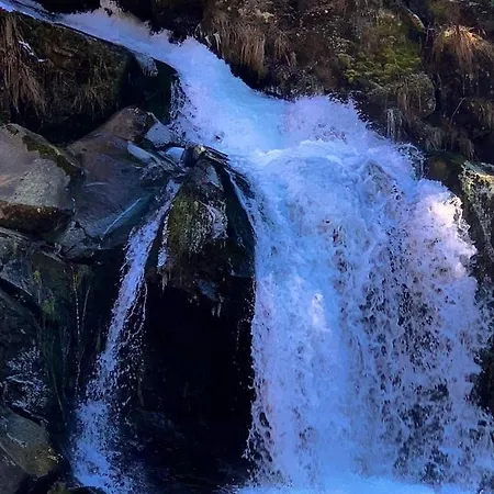 Гостевой дом Pid Dubom карпати під дубом Сколе