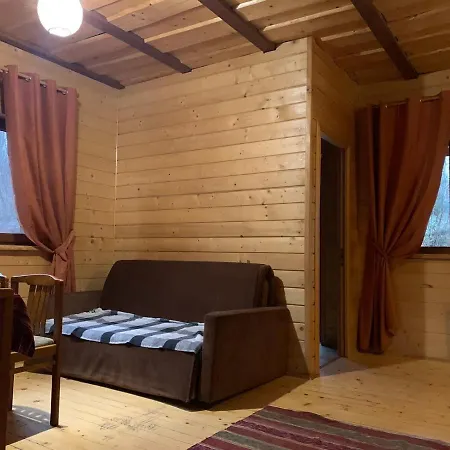 Pid Dubom карпати під дубом Сколе