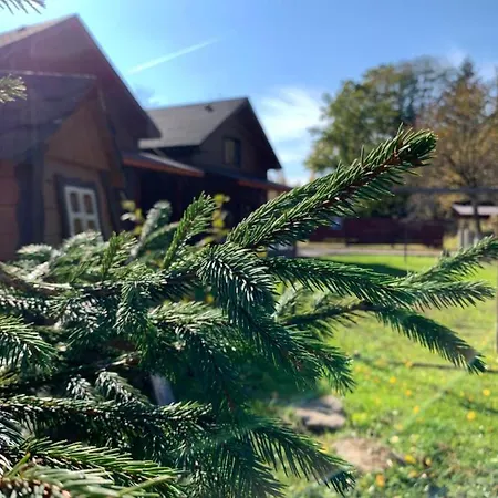 Pid Dubom карпати під дубом