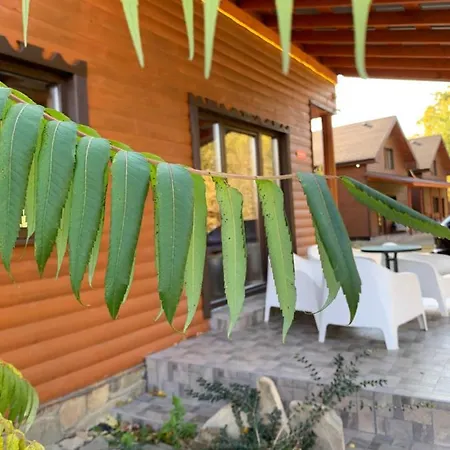 Pid Dubom карпати під дубом Сколе