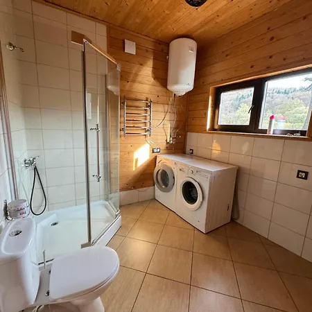 Pid Dubom карпати під дубом Сколе