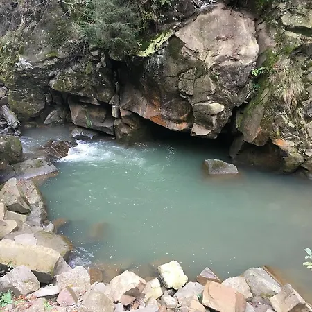 Pid Dubom карпати під дубом 4*