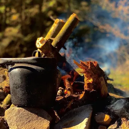 Pid Dubom карпати під дубом Affittacamere 4*