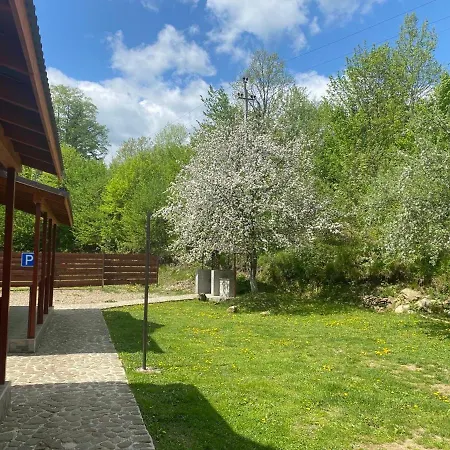 Maison d'hôtes Pid Dubom карпати під дубом