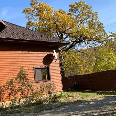 Pid Dubom карпати під дубом Сколе