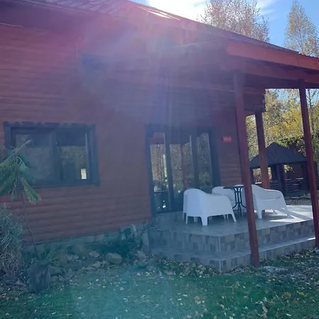 Pid Dubom карпати під дубом Гостевой дом Сколе
