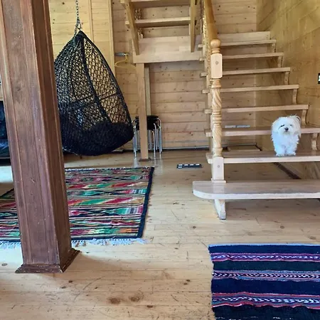 Pid Dubom карпати під дубом