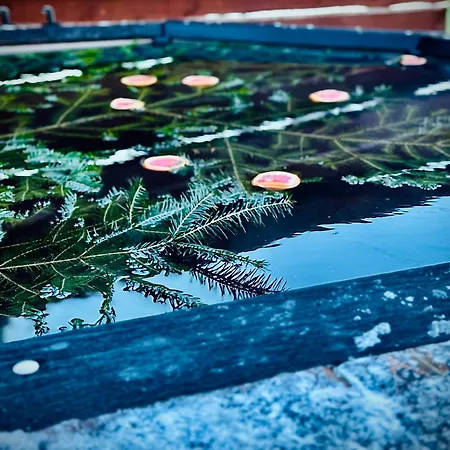 Pid Dubom карпати під дубом Affittacamere