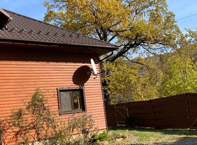 Pid Dubom карпати під дубом Skole