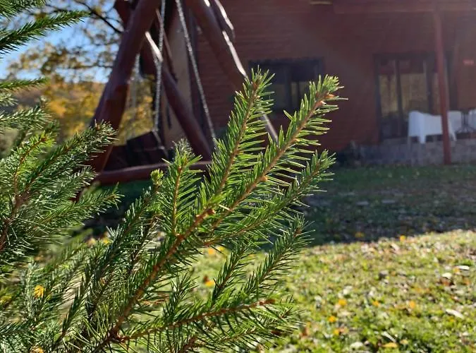 Maison d'hôtes Pid Dubom карпати під дубом