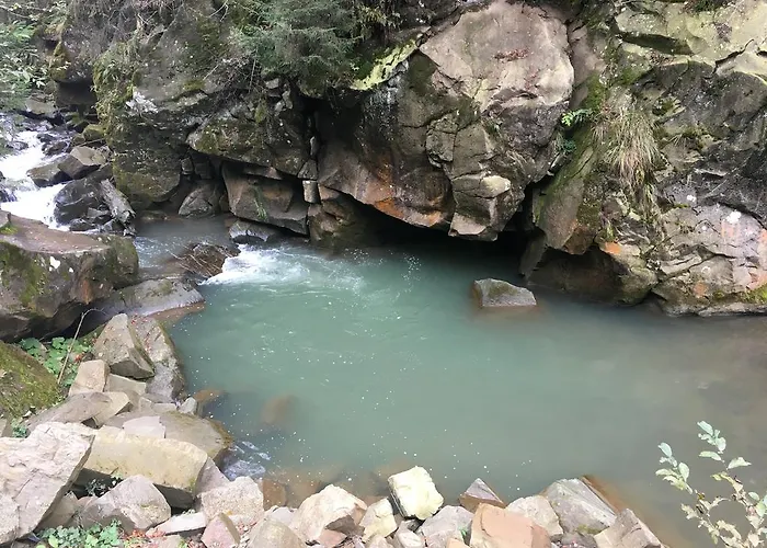 Pid Dubom карпати під дубом 4*